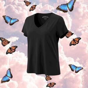 Aerie Seriously Soft Perfect V Neck Tee